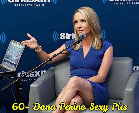 dana perino sexy|Dana Perino 